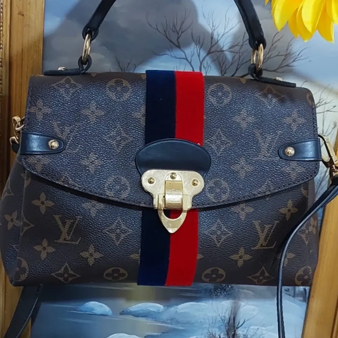 louis Vuitton bag